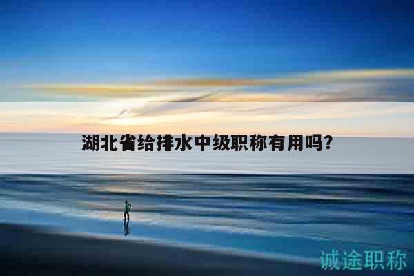 湖北省給排水中級職稱有用嗎？
