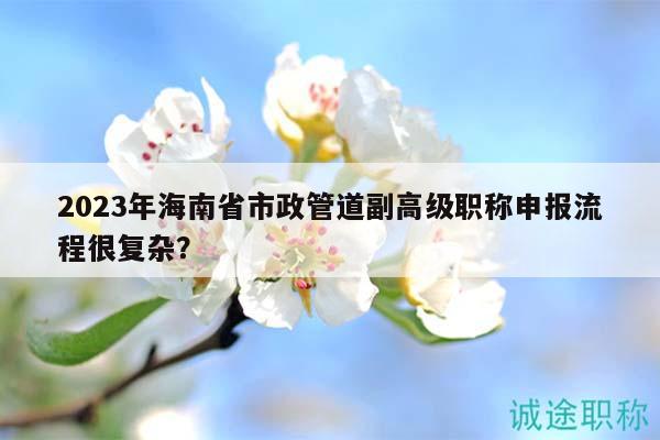 2023年海南省市政管道副高級(jí)職稱申報(bào)流程很復(fù)雜？