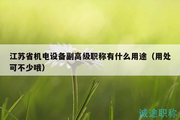江蘇省機電設備副高級職稱有什么用途（用處可不少哦）
