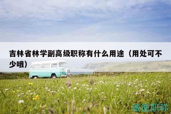 吉林省林學(xué)副高級職稱有什么用途（用處可不少哦）