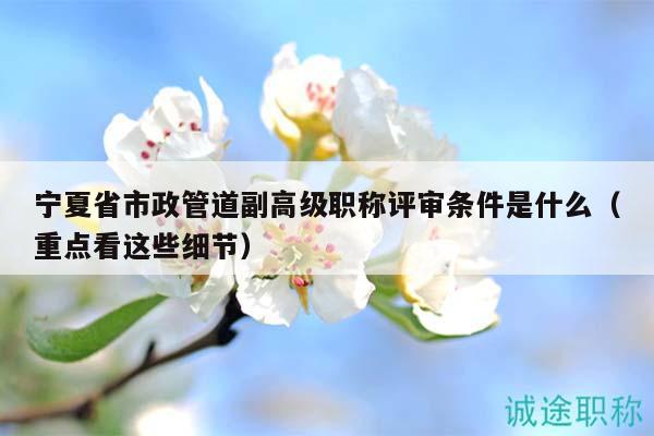 寧夏省市政管道副高級職稱評審條件是什么（重點看這些細節(jié)）