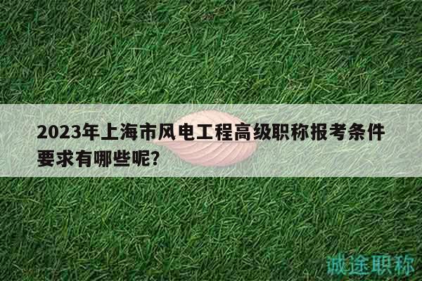 2023年上海市風電工程高級職稱報考條件要求有哪些呢？