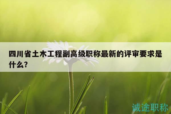 四川省土木工程副高級職稱最新的評審要求是什么？