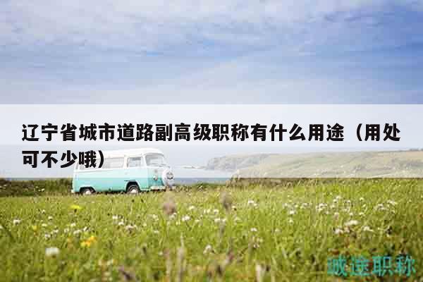 遼寧省城市道路副高級(jí)職稱(chēng)有什么用途（用處可不少哦）