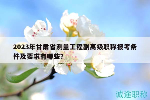 2023年甘肅省測量工程副高級職稱報考條件及要求有哪些？
