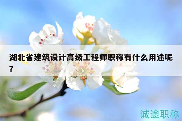 湖北省建筑設(shè)計(jì)高級工程師職稱有什么用途呢？