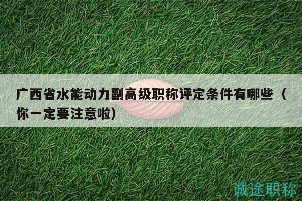 廣西省水能動(dòng)力副高級(jí)職稱評(píng)定條件有哪些（你一定要注意啦）