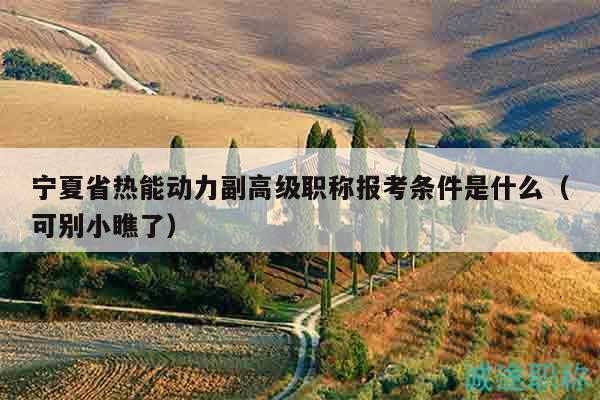 寧夏省熱能動力副高級職稱報考條件是什么（可別小瞧了）