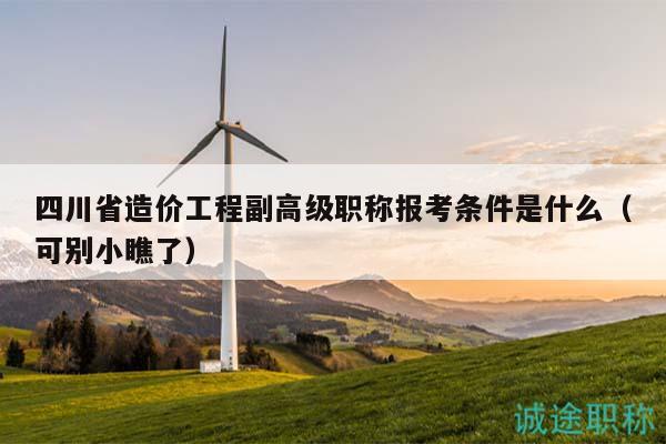 四川省造價工程副高級職稱報考條件是什么（可別小瞧了）