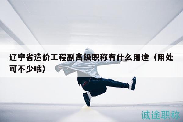 遼寧省造價工程副高級職稱有什么用途（用處可不少哦）