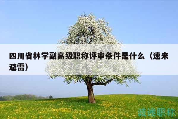 四川省林學副高級職稱評審條件是什么（速來避雷）