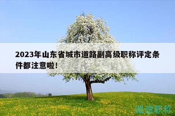 2023年山東省城市道路副高級(jí)職稱(chēng)評(píng)定條件都注意啦！