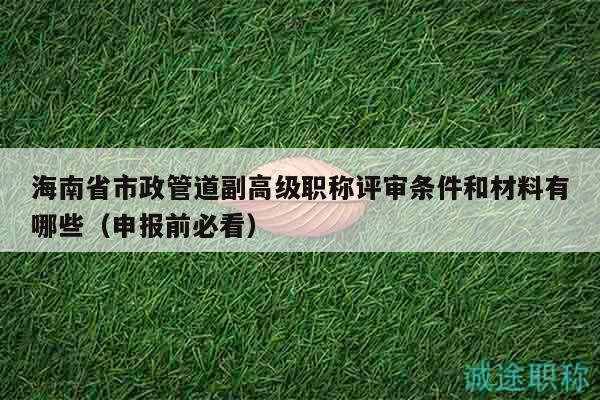 海南省市政管道副高級(jí)職稱評(píng)審條件和材料有哪些（申報(bào)前必看）