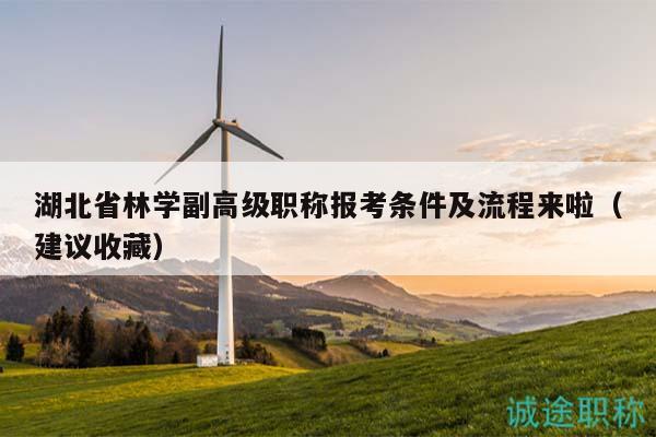 湖北省林學(xué)副高級職稱報考條件及流程來啦（建議收藏）