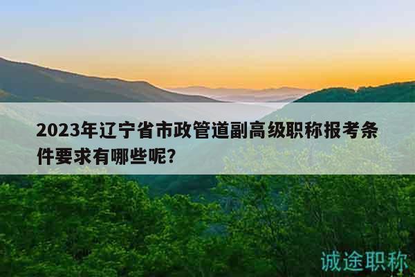 2023年遼寧省市政管道副高級(jí)職稱報(bào)考條件要求有哪些呢？