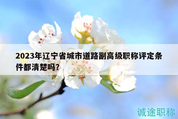2023年遼寧省城市道路副高級職稱評定條件都清楚嗎？