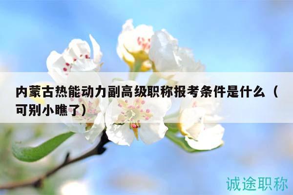 內(nèi)蒙古熱能動力副高級職稱報考條件是什么（可別小瞧了）