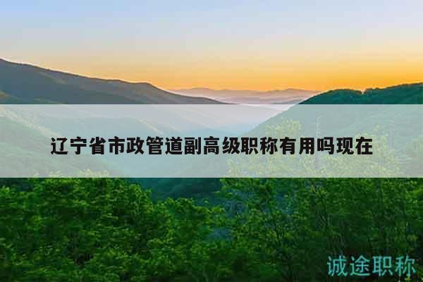 遼寧省市政管道副高級職稱有用嗎現(xiàn)在
