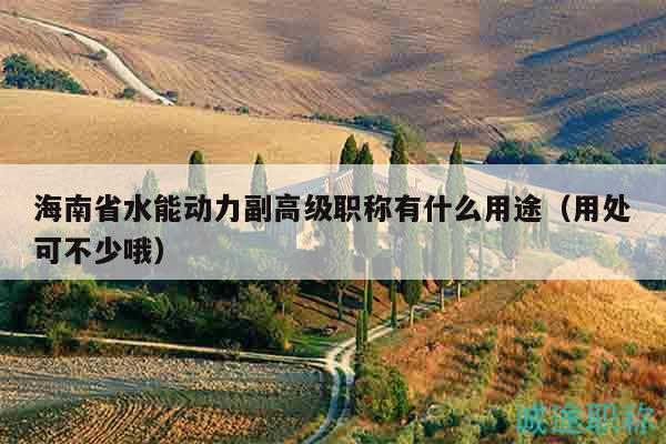海南省水能動力副高級職稱有什么用途（用處可不少哦）