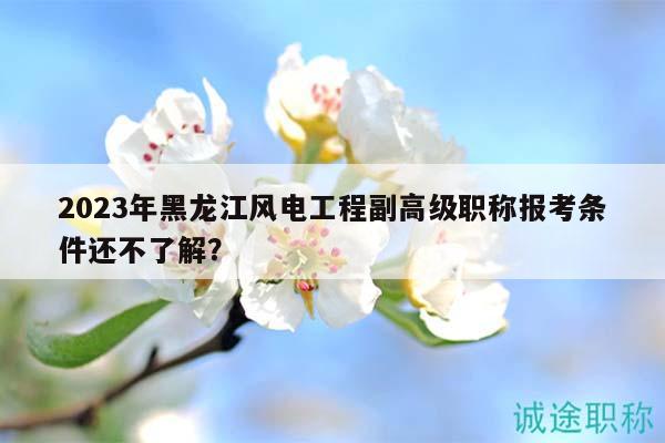 2023年黑龍江風(fēng)電工程副高級職稱報考條件還不了解？