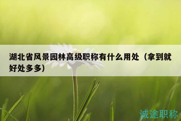 湖北省風(fēng)景園林高級職稱有什么用處（拿到就好處多多）