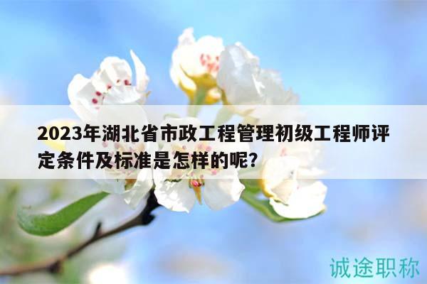 2023年湖北省市政工程管理初級工程師評定條件及標(biāo)準是怎樣的呢？