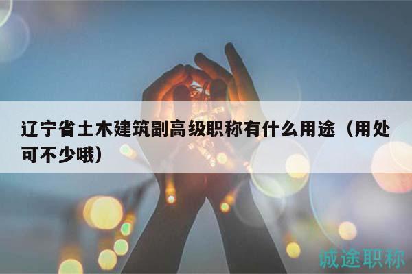遼寧省土木建筑副高級職稱有什么用途（用處可不少哦）