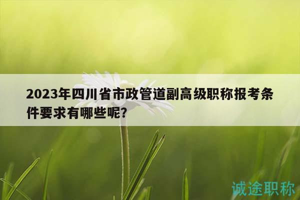 2023年四川省市政管道副高級(jí)職稱報(bào)考條件要求有哪些呢？
