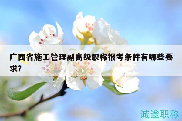 廣西省施工管理副高級職稱報考條件有哪些要求？