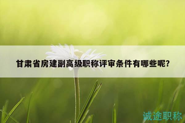 甘肅省房建副高級職稱評審條件有哪些呢？
