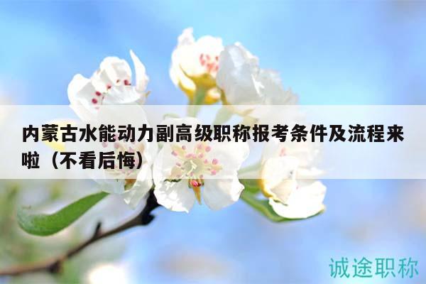 內(nèi)蒙古水能動力副高級職稱報考條件及流程來啦（不看后悔）