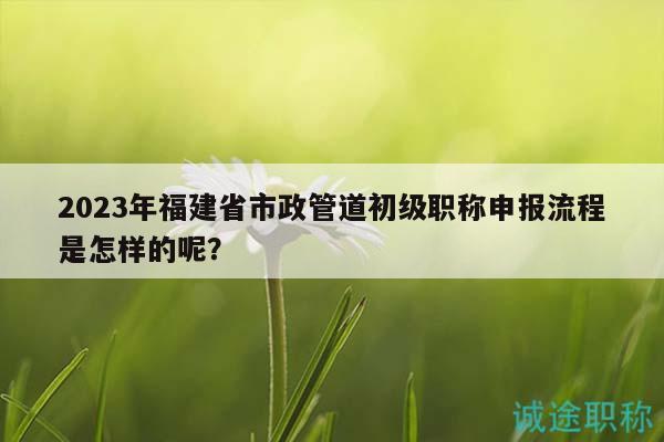2023年福建省市政管道初級(jí)職稱申報(bào)流程是怎樣的呢？