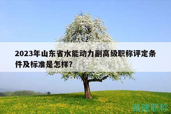 2023年山東省水能動力副高級職稱評定條件及標(biāo)準(zhǔn)是怎樣？