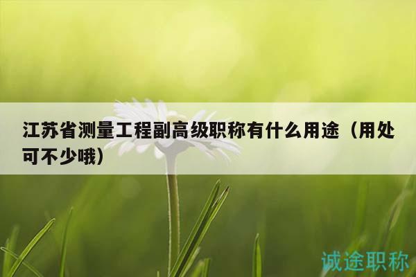 江蘇省測量工程副高級職稱有什么用途（用處可不少哦）