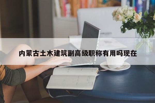 內蒙古土木建筑副高級職稱有用嗎現在