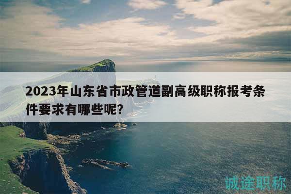 2023年山東省市政管道副高級職稱報考條件要求有哪些呢？