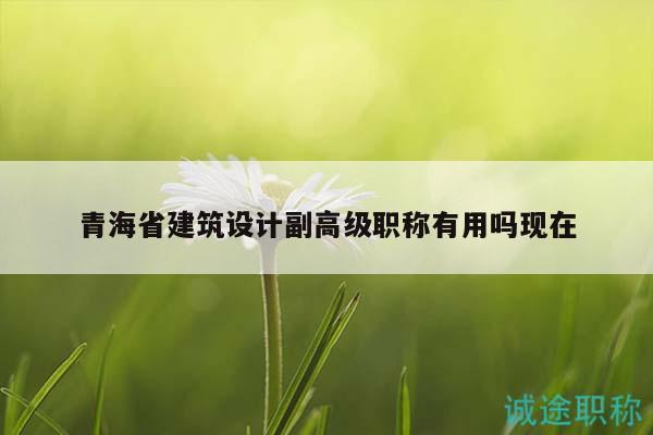 青海省建筑設(shè)計(jì)副高級(jí)職稱有用嗎現(xiàn)在