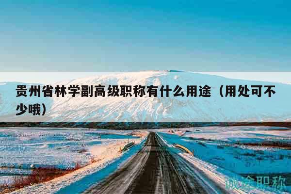 貴州省林學(xué)副高級(jí)職稱(chēng)有什么用途（用處可不少哦）