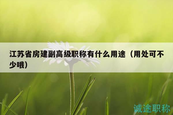 江蘇省房建副高級職稱有什么用途（用處可不少哦）