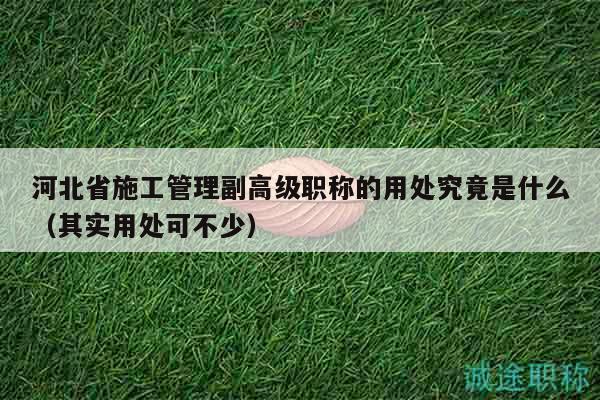 河北省施工管理副高級(jí)職稱的用處究竟是什么（其實(shí)用處可不少）