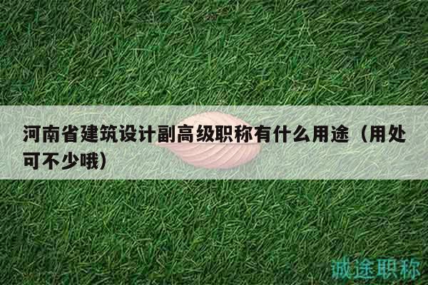 河南省建筑設(shè)計(jì)副高級(jí)職稱有什么用途（用處可不少哦）