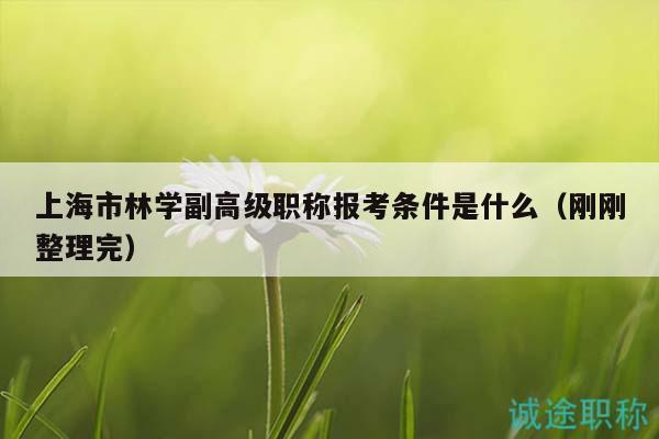 上海市林學(xué)副高級職稱報考條件是什么（剛剛整理完）