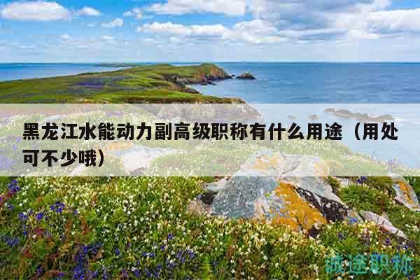 黑龍江水能動(dòng)力副高級(jí)職稱(chēng)有什么用途（用處可不少哦）