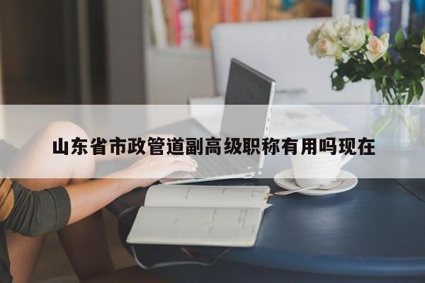山東省市政管道副高級(jí)職稱有用嗎現(xiàn)在