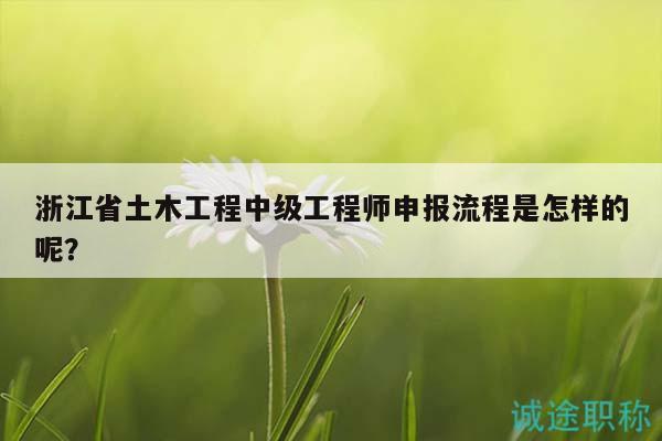 浙江省土木工程中級(jí)工程師申報(bào)流程是怎樣的呢？
