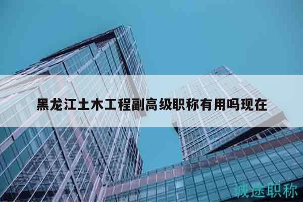 黑龍江土木工程副高級(jí)職稱有用嗎現(xiàn)在