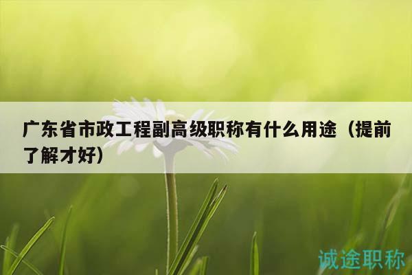 廣東省市政工程副高級(jí)職稱有什么用途（提前了解才好）