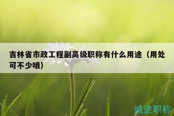 吉林省市政工程副高級職稱有什么用途（用處可不少哦）