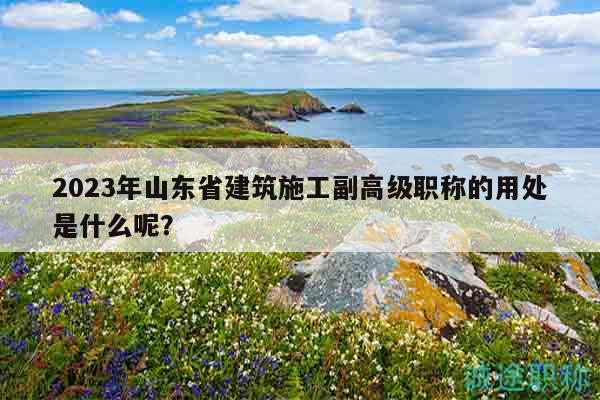 2023年山東省建筑施工副高級職稱的用處是什么呢？
