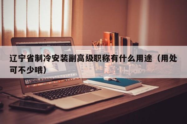 遼寧省制冷安裝副高級職稱有什么用途（用處可不少哦）